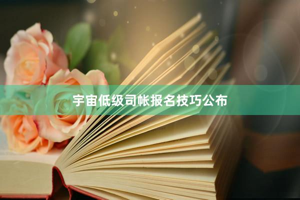 宇宙低级司帐报名技巧公布